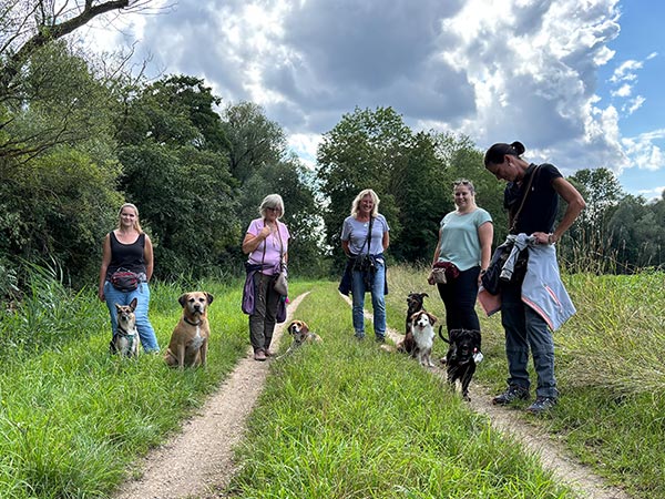 Pfotenzeit Hundeschule Regensburg - Gruppenstunde Pfotendetektive – die Superspürnasen