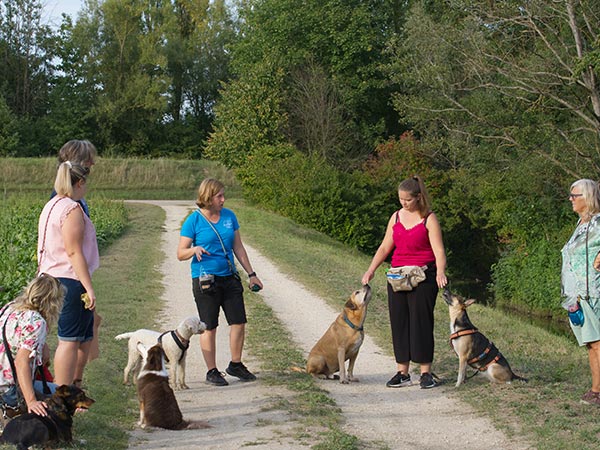 Pfotenzeit Hundeschule in regensburg  Gruppenstunde Pfotenhelden im Alltag